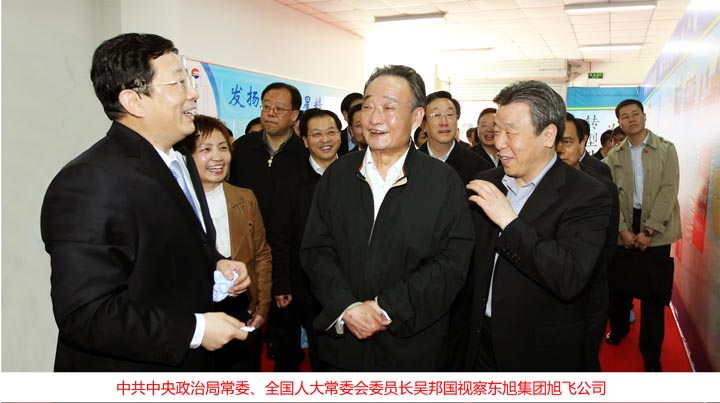 時(shí)任全國人大常委會(huì )委員長(cháng)吳邦國視察東旭集團旭飛公司