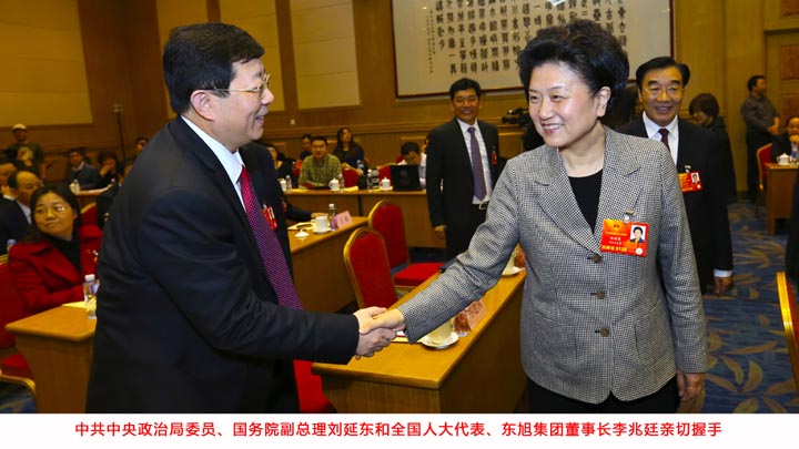 國務(wù)院副總理劉延東會(huì )見(jiàn)東旭集團董事長(cháng)李兆廷